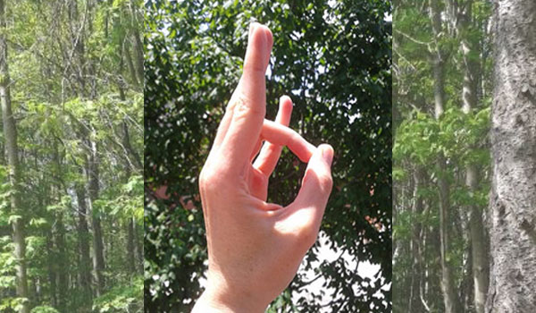 The Earth Mudra Has Been Saving My Life!