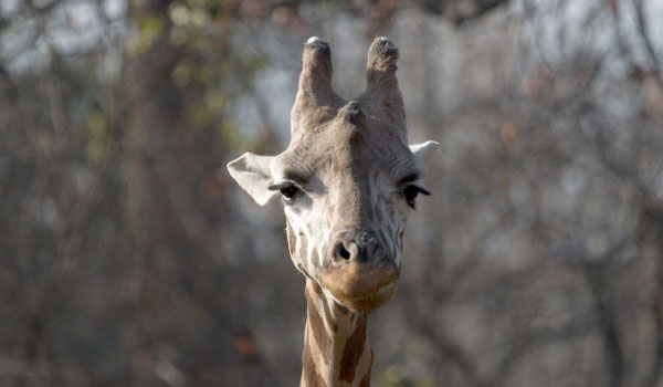 What if I said you’re not special?