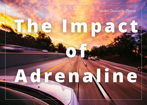 GCC_Tiles_FC_12 The Impact of Adrenaline